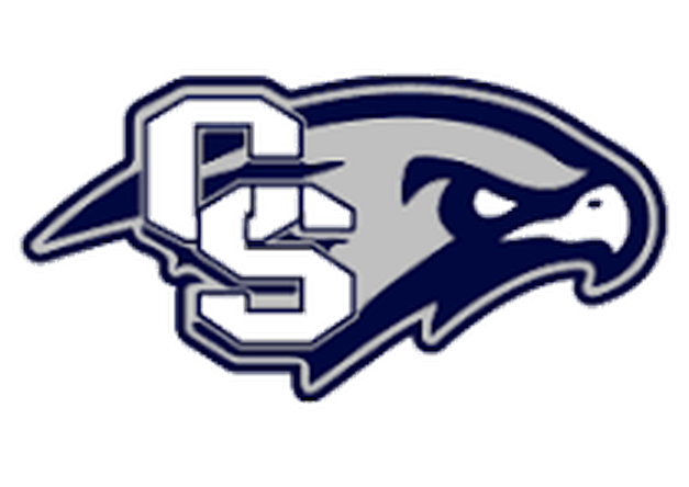 Cactus Shadows Falcons
